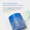 Laneige Water Sleeping Mask EX