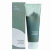 Isntree Real Mugwort Clay Mask