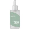 Isntree Spot Saver Mugwort Ampoule