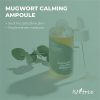 Isntree Spot Saver Mugwort Ampoule