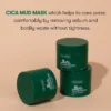 VT Cosmetics VT Cica Purifying Mask Description
