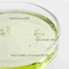 Beauty of Joseon Calming Serum Green Tea-Panthenol