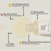 Beauty of Joseon Glow Serum Propolis+Niacinamide