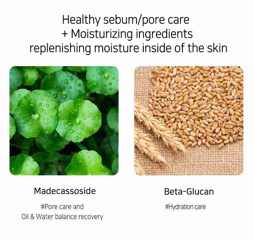 Muldream Vegan Green Mild Fresh Serum Toner