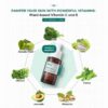 Neogen Dermalogy Real Vitamin C Serum