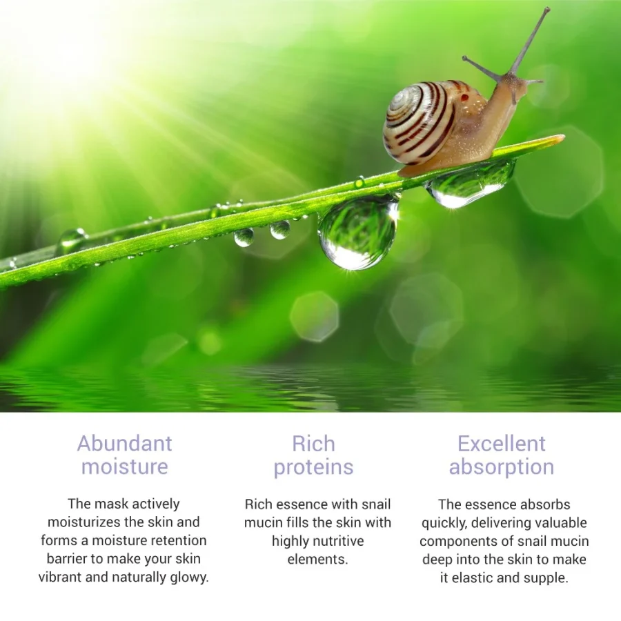 Skinsomnia Snail Real Essence Mask