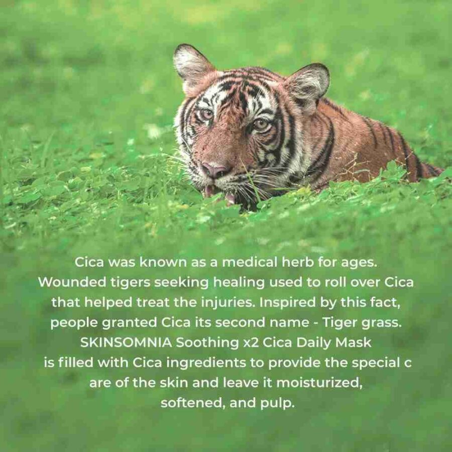 Skinsomnia Soothing X2 CICA Daily Mask