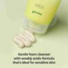 Goodal Houttuynia Cordata Calming ph Balancing Cleansing Foam