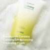 Goodal Houttuynia Cordata Calming ph Balancing Cleansing Foam