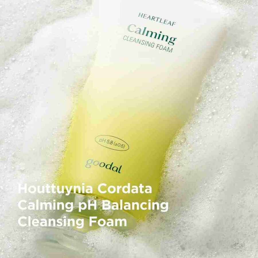 Goodal Houttuynia Cordata Calming ph Balancing Cleansing Foam