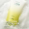 Goodal Houttuynia Cordata Calming ph Balancing Cleansing Foam