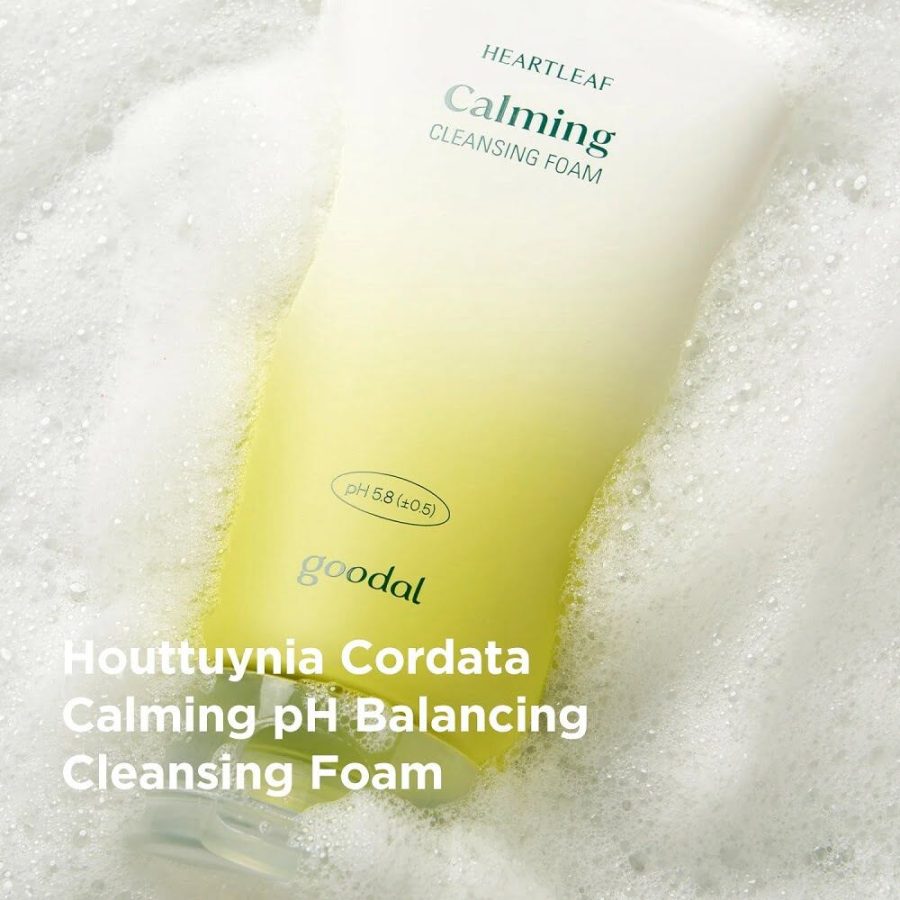 Goodal Houttuynia Cordata Calming ph Balancing Cleansing Foam