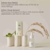 Beauty of joseon Matte sun stick Mugwort Camelia