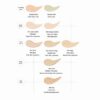 Etude Big Cover Skin Fit Concealer Pro