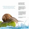 JKosmec All Bright Snail and Hyaluron Foam Cleanser