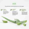 JKosmec Aloe Ultimate Hydrating Mask Pack
