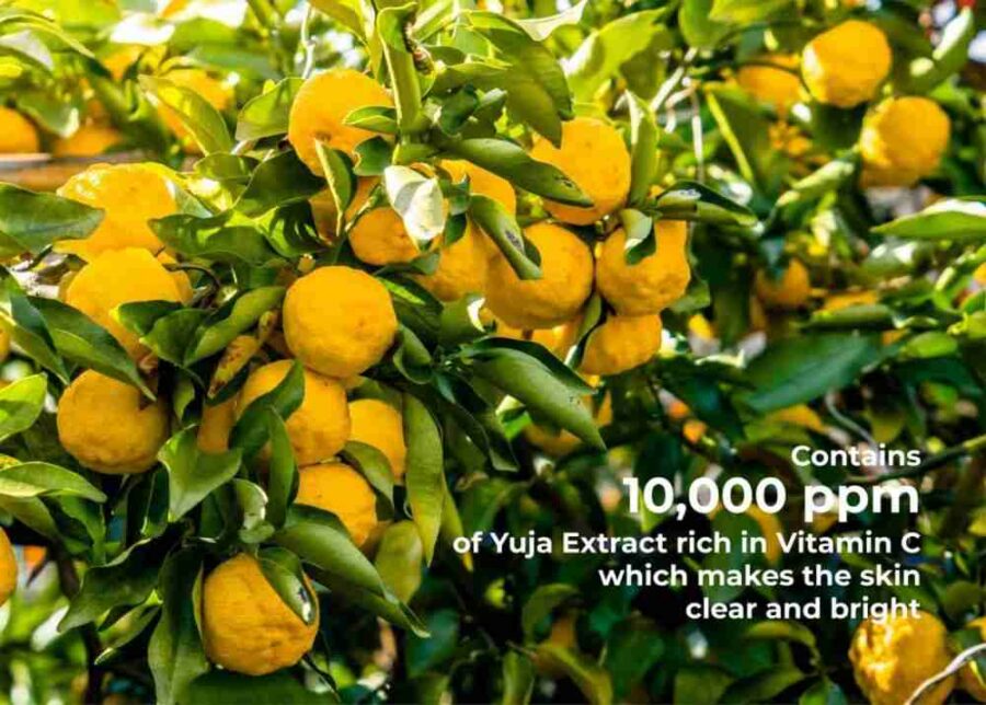 JKosmec Yuja and Vitamin C Hydrating Toner Pads
