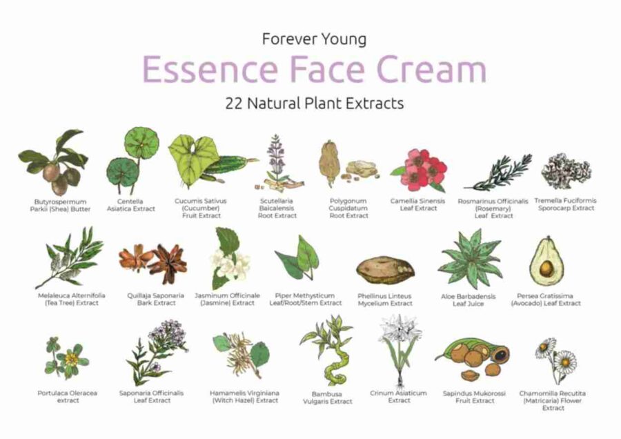 Miverum Forever Young Cream