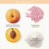 Skinfood Apricot Food Mask