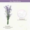Skinfood Lavender Food Mask