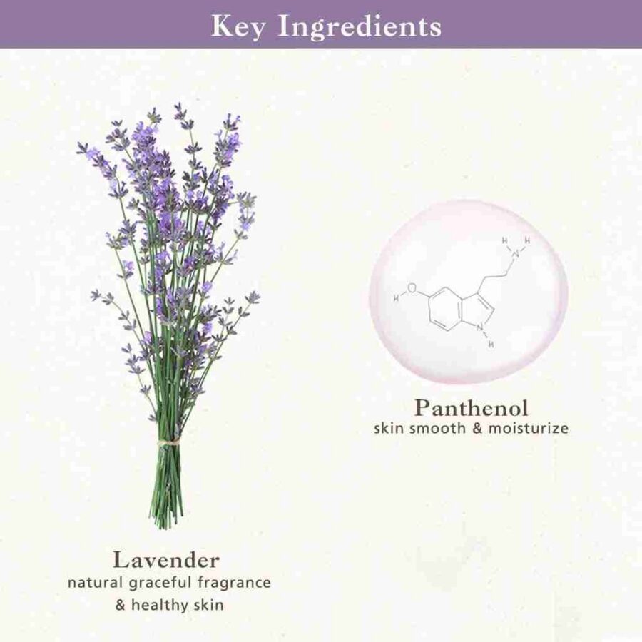 Skinfood Lavender Food Mask