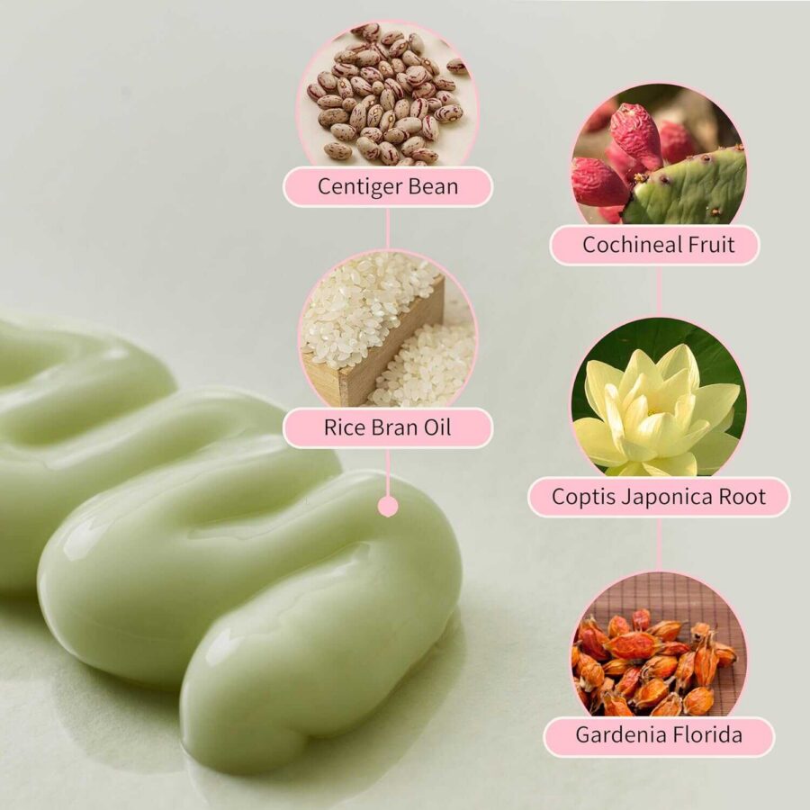 Beauty of Joseon Jelloskin Massage Cream for Face & Body